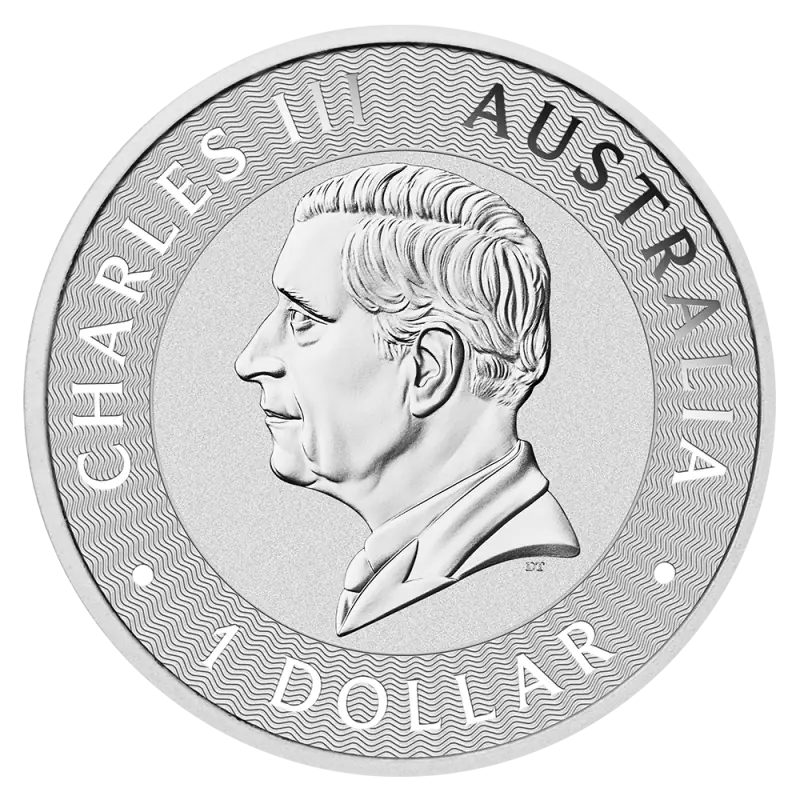 1 oz Kangaroo Silver Coin | 2026 - pilt 2